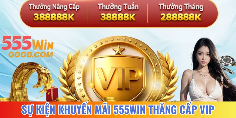 Sự kiện khuyến mãi 555WIN thăng cấp VIP